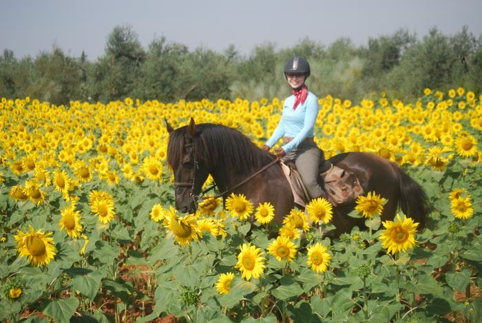 Dressage & Trailrides Sevilla