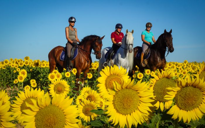 Dressage & Trailrides Sevilla
