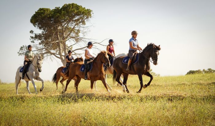 Dressage & Trailrides Sevilla