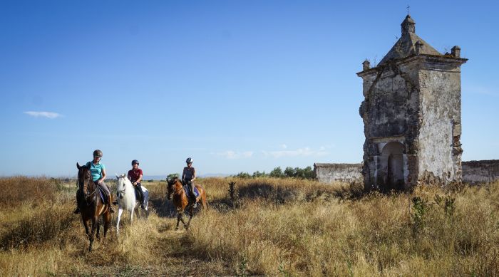 Dressage & Trailrides Sevilla