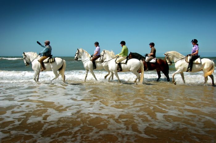 Dressage & Trailrides Sevilla
