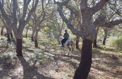 Gibraltar-Atlantic Nature Park Ride (8 days)