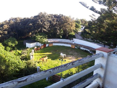 Gibraltar-Atlantic Nature Park Ride (8 days)