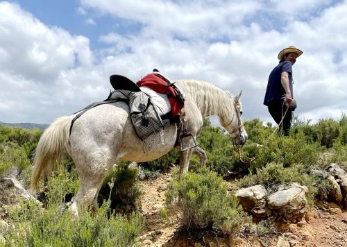 Gibraltar-Atlantic Nature Park Ride (8 days)