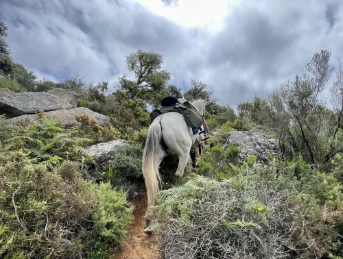 Gibraltar-Atlantic Nature Park Ride (8 days)