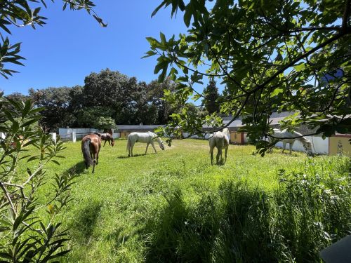 Gibraltar-Atlantic Nature Park Ride (8 days)