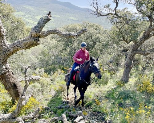 Gibraltar-Atlantic Nature Park Ride (8 days)