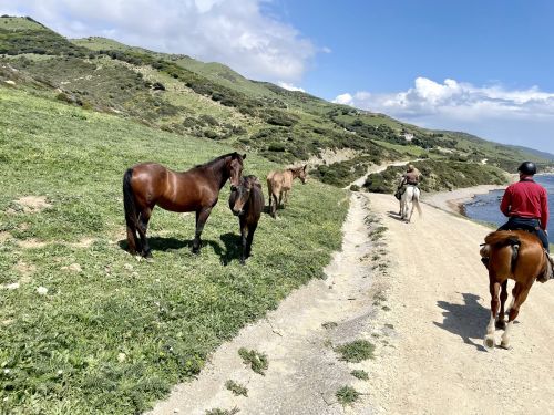 Gibraltar-Atlantic Nature Park Ride (8 days)