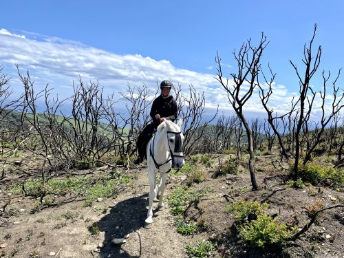 Gibraltar-Atlantic Nature Park Ride (8 days)