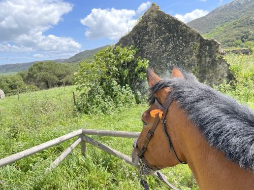 Gibraltar-Atlantic Nature Park Ride (8 days)