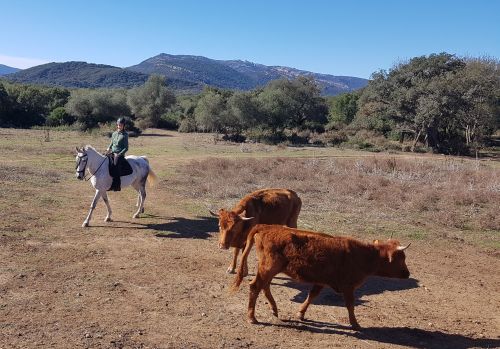 Gibraltar-Atlantic Nature Park Ride (8 days)
