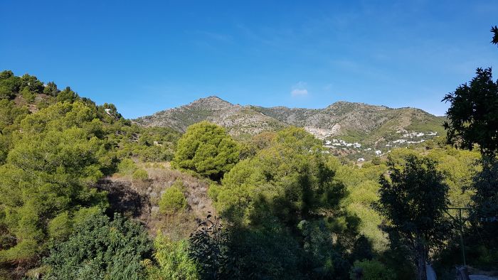 Rancho La Paz - Andalusian stud farm