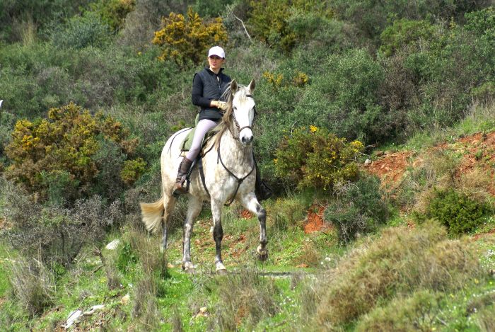 Rancho La Paz - Andalusian stud farm