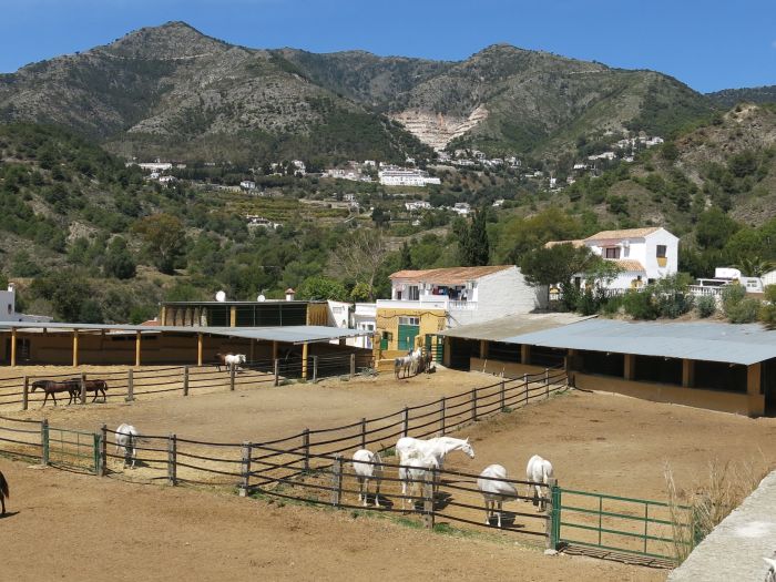 Rancho La Paz - Andalusian stud farm