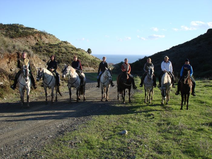 Rancho La Paz - Andalusian stud farm