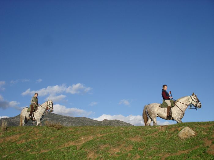Rancho La Paz - Andalusian stud farm