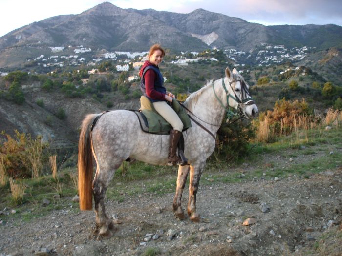 Rancho La Paz - Andalusian stud farm