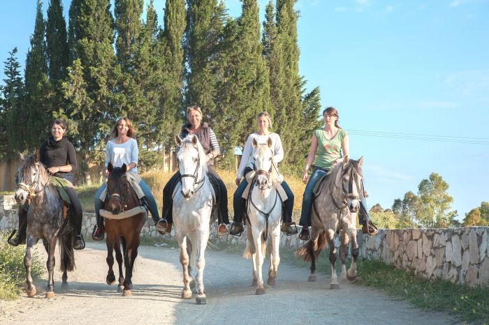 Rancho La Paz - Andalusian stud farm