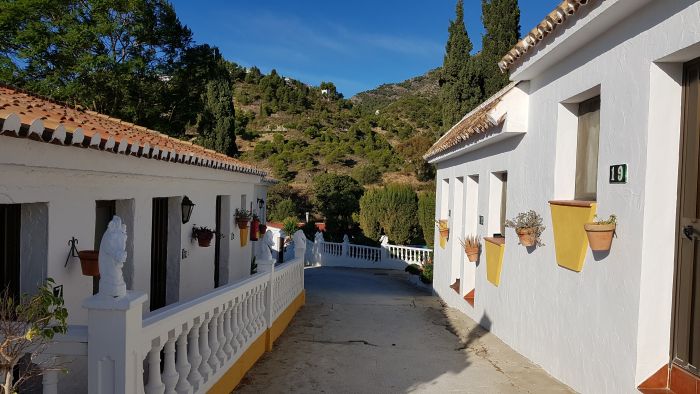 Rancho La Paz - Andalusian stud farm