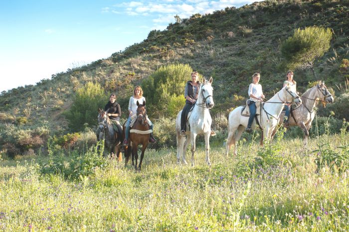 Rancho La Paz - Andalusian stud farm