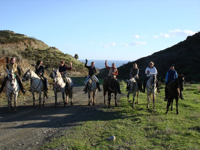 Rancho La Paz - Andalusian stud farm