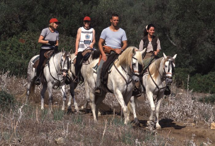 Rancho La Paz - Andalusian stud farm