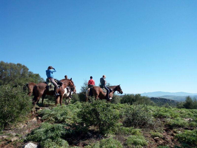 Rancho La Paz - Andalusian stud farm