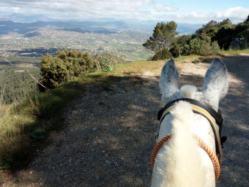 Rancho La Paz - Andalusian stud farm