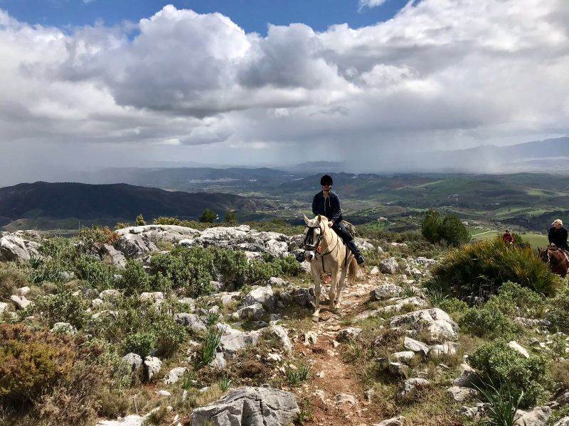 Rancho La Paz - Andalusian stud farm