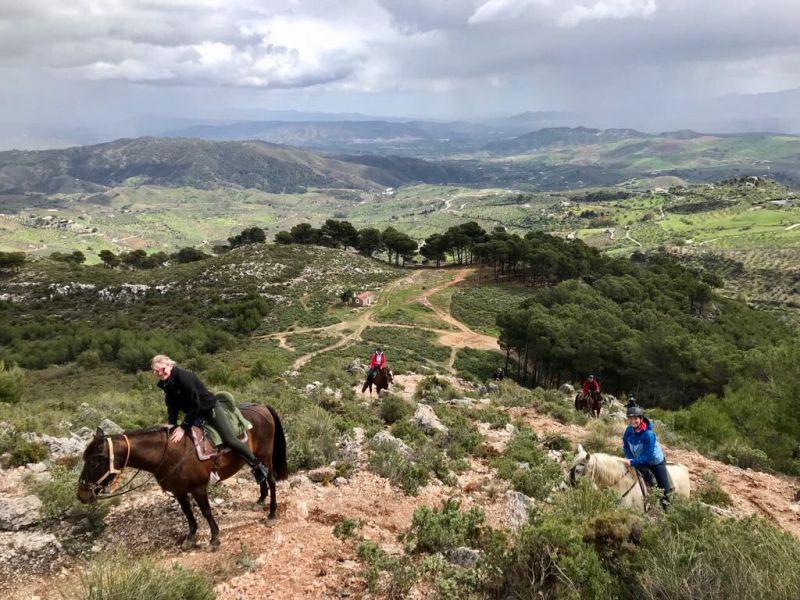 Rancho La Paz - Andalusian stud farm