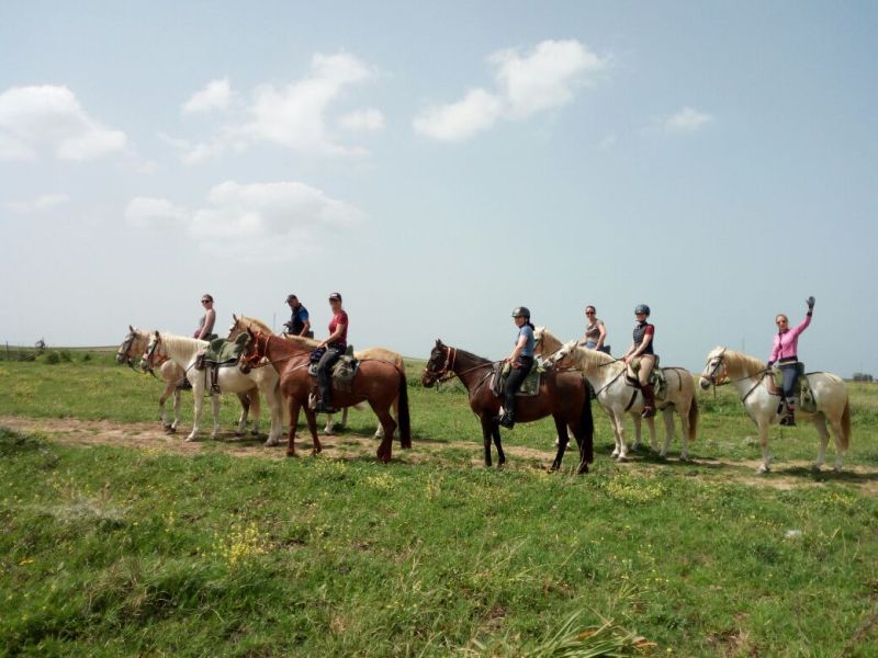 Rancho La Paz - Andalusian stud farm