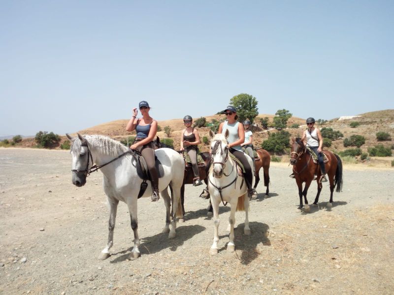 Rancho La Paz - Andalusian stud farm