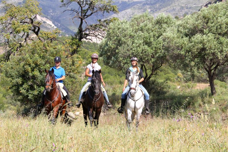 Rancho La Paz - Andalusian stud farm