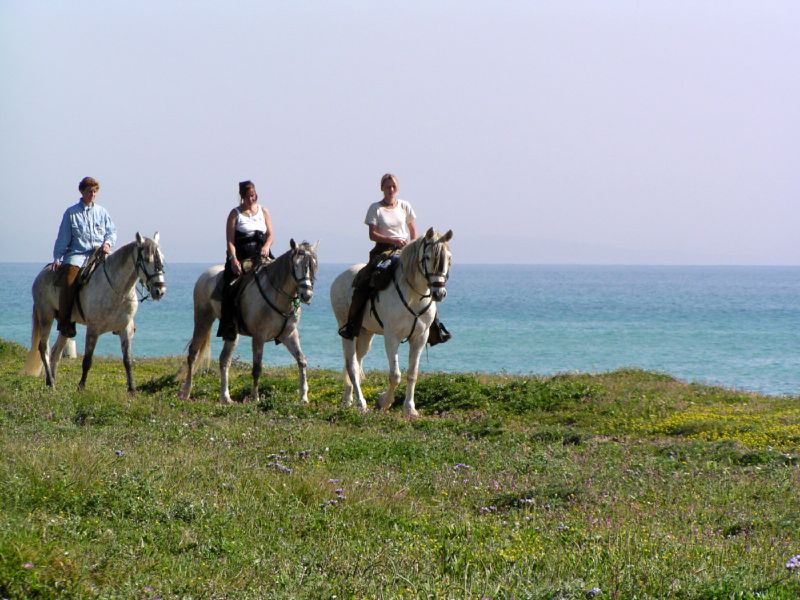 Rancho La Paz - Andalusian stud farm