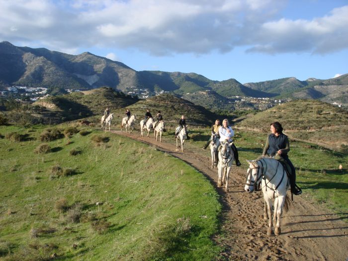 Rancho La Paz - Andalusian stud farm