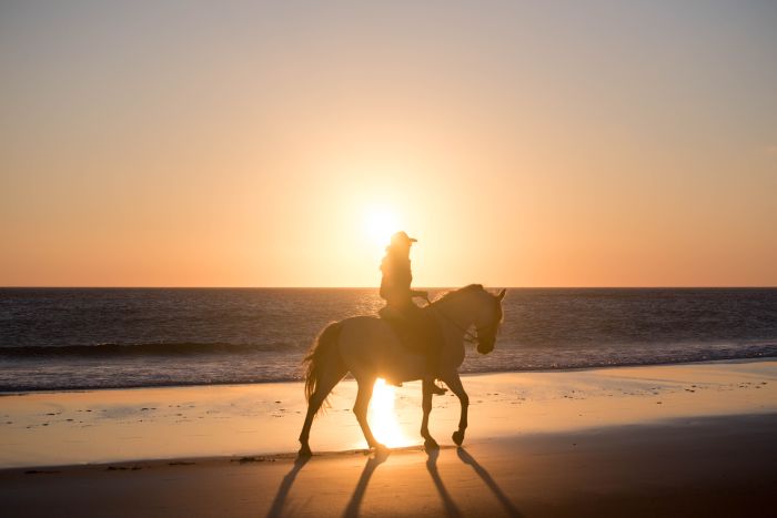 Riding vacation Tarifa