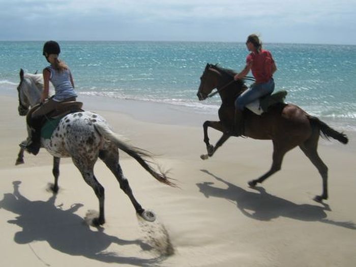 Riding vacation Tarifa