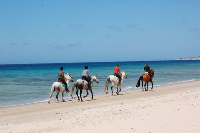 Riding vacation Tarifa