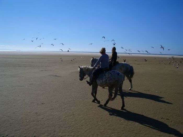 Riding vacation Tarifa
