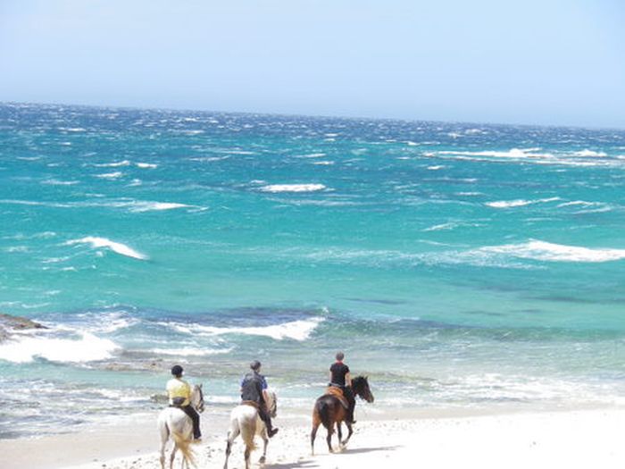 Riding vacation Tarifa