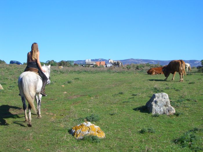 Riding vacation Tarifa