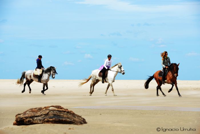 Riding vacation Tarifa