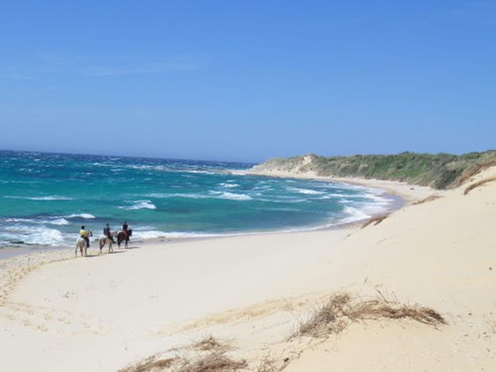 Riding vacation Tarifa