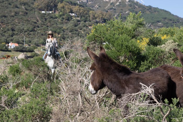 Riding vacation Tarifa