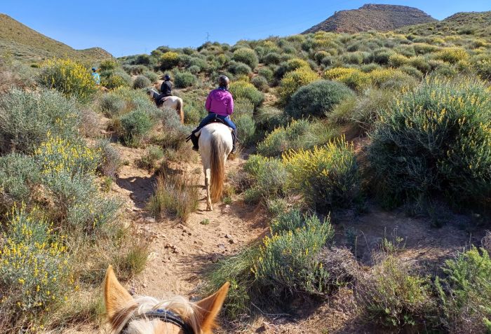 Cabo de Gata Trail and Tabernas Trail