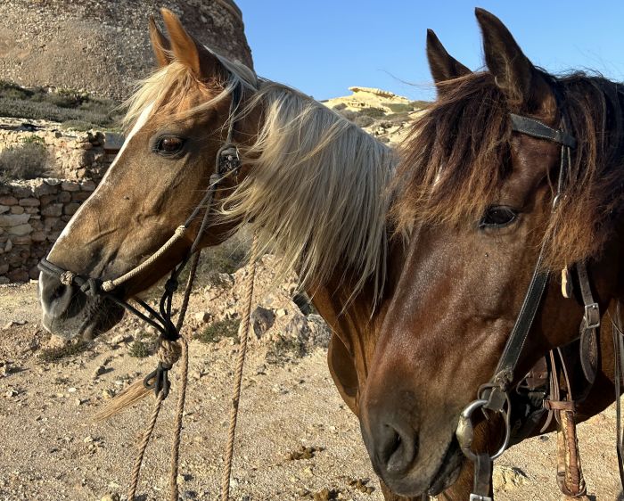 Cabo de Gata Trail and Tabernas Trail