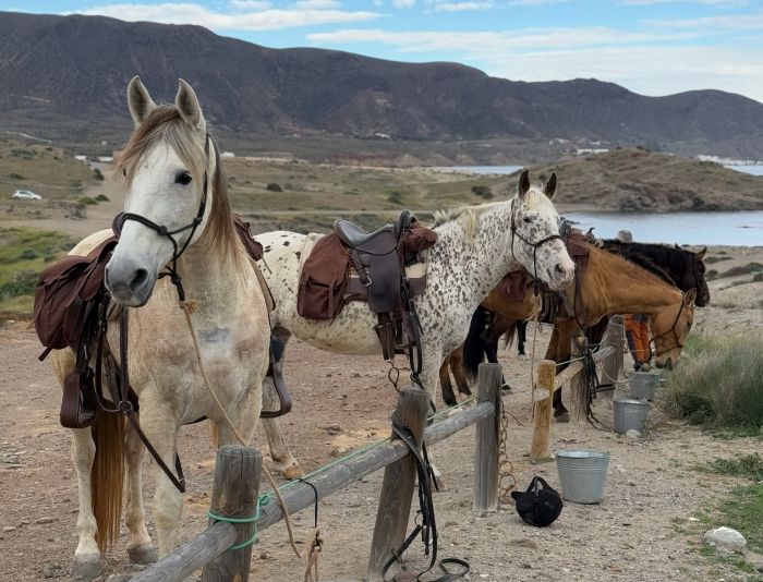 Cabo de Gata Trail and Tabernas Trail
