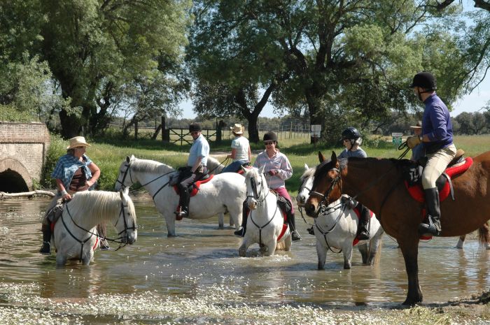 Conquistadores Trail Ride