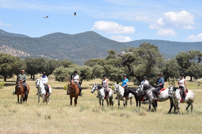 Conquistadores Trail Ride