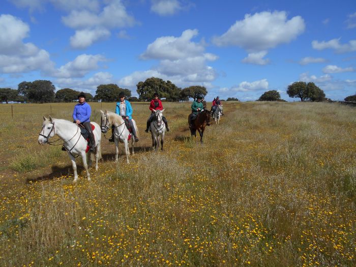 Conquistadores Trail Ride